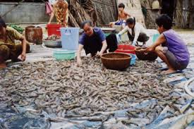 Xã Đức Mỹ, huyện Càn Long, tỉnh Trà Vinh